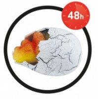 Детский набор для исcледований Buki BKD6G фото №2 — интернет-магазин Desire.md