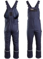 Полукомбинезон рабочий Brixton PLSTONOGNS фото №2 — интернет-магазин Desire.md