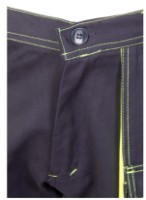 Брюки рабочие Brixton PLSTASSPNG48 фото №2 — интернет-магазин Desire.md