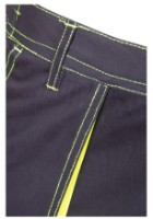 Pantaloni de lucru Brixton PLSTASSPNG54 imaginea #3 — magazin online Desire.md