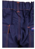 Pantaloni de lucru Polstar Profflam PLSTAOSPN50 imaginea #4 — magazin online Desire.md