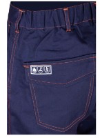 Pantaloni de lucru Polstar Profflam PLSTAOSPN54 imaginea #5 — magazin online Desire.md