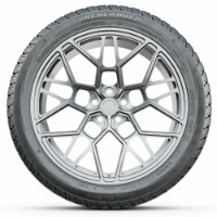 Шина Grenlander Winter GL868 205/60 R16 96H XL фото №3 — интернет-магазин Desire.md