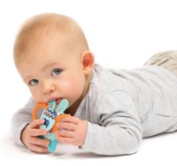 Игрушка-прорезыватель Ludi LD30110 фото №2 — интернет-магазин Desire.md