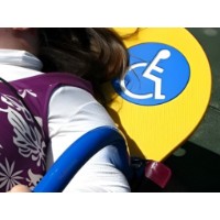 Балансир PlayPark Snowboard ZP-25 фото №3 — интернет-магазин Desire.md