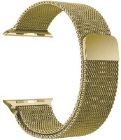 Curea Hoco iWatch WA03 42/44/45/49mm Vintage Gold imaginea #1 — magazin online Desire.md