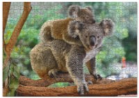 Пазл Dodo 1000 Little koala with mom (301183)