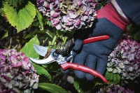 Foarfecă de gradină (secatore) BGS Technic 9111.. imaginea #2 — magazin online Desire.md