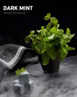 Табак кальянный DarkSide Core Dark Mint 100g фото №1 — интернет-магазин Desire.md