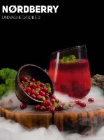 Табак кальянный DarkSide Core Nord B 100g фото №1 — интернет-магазин Desire.md