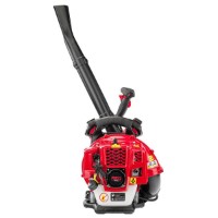 Suflantă de frunze Red Technic RTODL0059 imaginea #8 — magazin online Desire.md