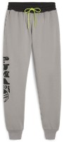 Pantaloni spotivi pentru bărbați Puma Posterize 2.0 Pant Stormy Slate/Puma Black M imaginea #1 — magazin online Desire.md