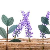 Material pentru artizanat Daco AD471 imaginea #2 — magazin online Desire.md