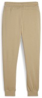 Мужские спортивные штаны Puma Power Graphic Sweatpants Tr Cl Prairie Tan S фото №2 — интернет-магазин Desire.md