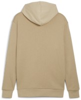 Hanorac pentru bărbați Puma Power Graphic Hoodie Tr Prairie Tan S imaginea #2 — magazin online Desire.md