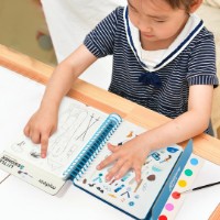 Set de decorare Mideer Legend of the Seeker (MD2206) imaginea #2 — magazin online Desire.md