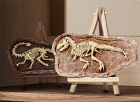 Set de cercetare pentru copii Mideer Revive T. Rex (MD0175)