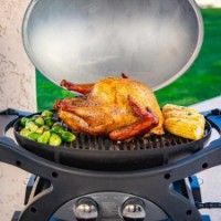 Гриль Pit Boss Sportsman 2 фото №7 — интернет-магазин Desire.md