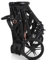 Коляска Moni Rafaello 2in1 Black фото №3 — интернет-магазин Desire.md