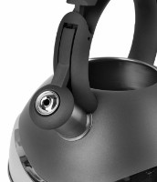 Чайник Tadar Elia Grey 3L фото №3 — интернет-магазин Desire.md