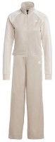 Женский спортивный костюм Adidas W Teamsport Ts Beige L фото №1 — интернет-магазин Desire.md