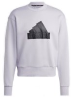 Hanorac pentru bărbați Adidas M Fi Bos Crw Silver Dawn, s.XL