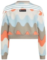 Детская толстовка Adidas G Marimekko Swt Cloud White/Ice Blue/Semi Coral/Light Brown, s.140 фото №2 — интернет-магазин Desire.md