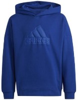 Детская толстовка Adidas U Fi Logo Hd Blue 164
