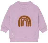 Детская толстовка Lassig GOTS Little Gang Rainbow Lilac 2-4years (LS1531057041-104) фото №1 — интернет-магазин Desire.md