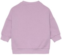 Детская толстовка Lassig GOTS Little Gang Rainbow Lilac 2-4years (LS1531057041-104) фото №2 — интернет-магазин Desire.md