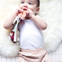 Jucărie pentru pătuturi si carucioare Lilliputiens Farm LP83194 imaginea #3 — magazin online Desire.md