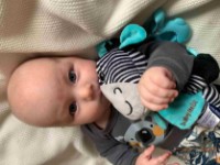 Jucărie pentru pătuturi si carucioare Baby Mix Zebra P/1246-6800 imaginea #2 — magazin online Desire.md