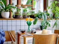 Set de construcție Lego Botanical Collection: Daffodils (40747) imaginea #2 — magazin online Desire.md