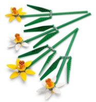 Set de construcție Lego Botanical Collection: Daffodils (40747) imaginea #5 — magazin online Desire.md