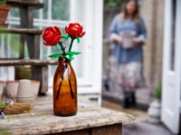 Конструктор Lego Botanical Collection: Roses (40460) фото №4 — интернет-магазин Desire.md