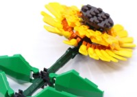 Конструктор Lego Botanical Collection: Sunflowers (40524) фото №2 — интернет-магазин Desire.md