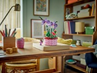 Конструктор Lego Disney: Isabela's Flowerpot (43237) фото №7 — интернет-магазин Desire.md