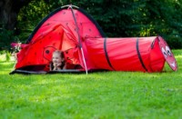 Cort cu tunel de joacă Baby Mix 46224 imaginea #7 — magazin online Desire.md