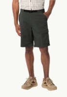 Мужские шорты Jack Wolfskin Wanderthirst Shorts M Gray 46 фото №2 — интернет-магазин Desire.md