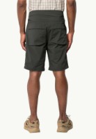 Мужские шорты Jack Wolfskin Wanderthirst Shorts M Gray 48 фото №3 — интернет-магазин Desire.md