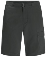 Мужские шорты Jack Wolfskin Wanderthirst Shorts M Gray 50 фото №1 — интернет-магазин Desire.md