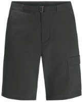 Мужские шорты Jack Wolfskin Wanderthirst Shorts M Gray 52
