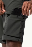 Мужские шорты Jack Wolfskin Wanderthirst Shorts M Gray 52 фото №4 — интернет-магазин Desire.md