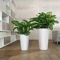 Цветочный горшок Lechuza Rondo Premium 32 White Matt фото №2 — интернет-магазин Desire.md