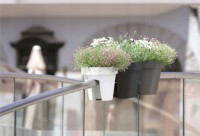 Ghiveci Prosperplast Lofly Railing DLOFR250-405U imaginea #2 — magazin online Desire.md