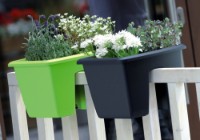 Ghiveci Prosperplast Respana DREB290-S433 imaginea #2 — magazin online Desire.md