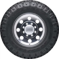 Anvelopa Goodyear Wrangler Duratec 255/60 R20 113Q XL imaginea #2 — magazin online Desire.md