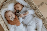 Bavețică BIBS Elderberry (9404281) imaginea #2 — magazin online Desire.md