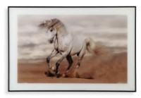 Pictură Versa Earth Horse 20230322