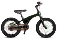 Bicicletă copii TyBike BK-08 20 Green imaginea #1 — magazin online Desire.md